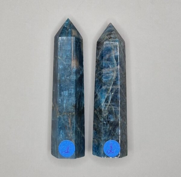 apatite éthique